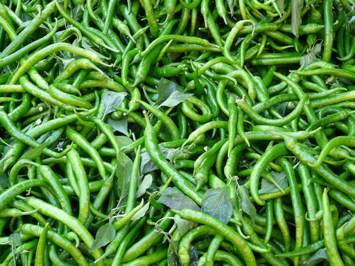 Long green hot chillis