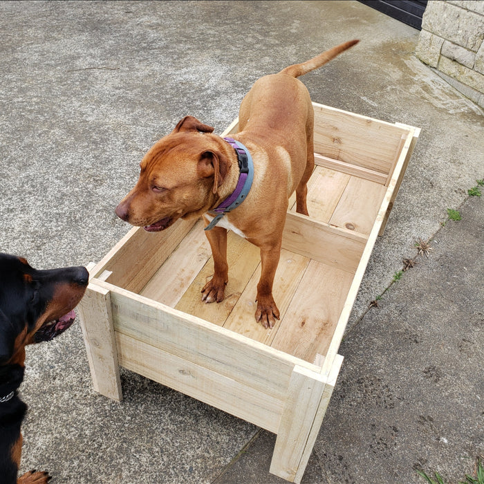 Planter Box Basics