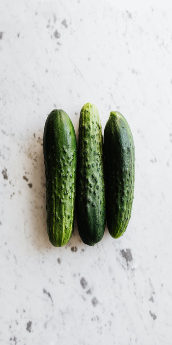 Dwarf Pickle cucumber